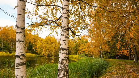 autumn in russiaの写真素材