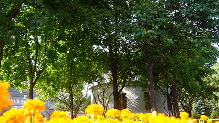 cathedral of christ the saviorのeditorial素材