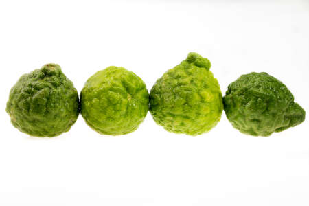 bergamot