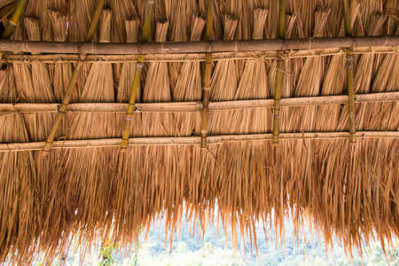 Thatched roofの写真素材