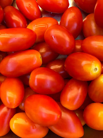 tomatoの写真素材