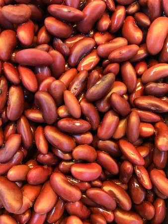 Red beanの写真素材