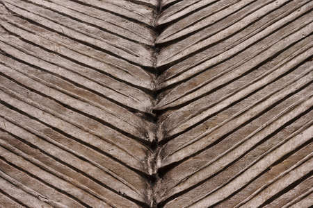 dried palm leaves pattern backgroundの写真素材