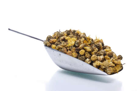 dried chrysanthemum in aluminum spoon isolated on white backgroundの写真素材