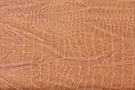 crocodile skin texture background