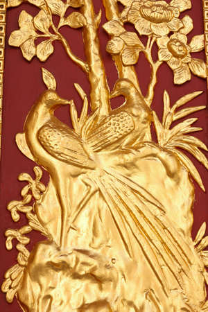 golden peacock on red wood backgroundの写真素材