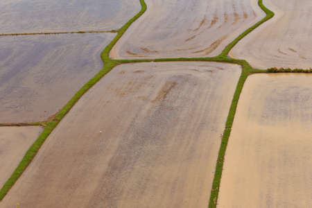 plowed rice  fields preparing for planting rice