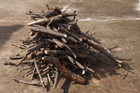 pile of  firewood on concrete floorの写真素材