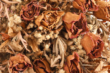 bouquet of dried withered rosesの写真素材