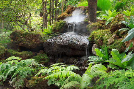 artificial waterfall in botanical gardenの写真素材