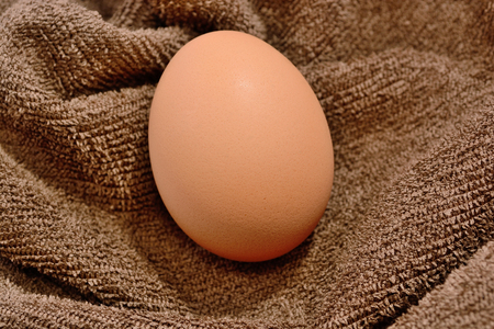 Egg