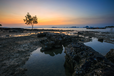 Sea view at Krabi with a tree on background