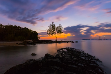Sea view at Krabi with a tree on backgroundの写真素材