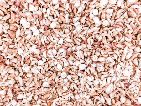 Garlic peeled background and texture.の写真素材