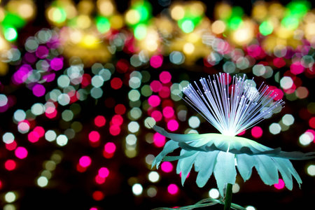 Closeup lighting flowers with light glowing up on colorful blurred and bokeh on night time backgroundの写真素材