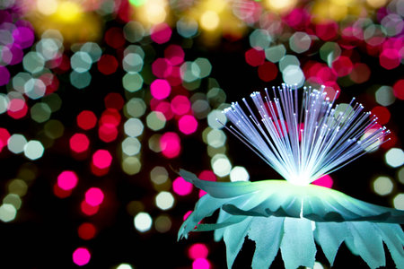 Closeup lighting flowers with light glowing up on colorful blurred and bokeh on night time backgroundの写真素材