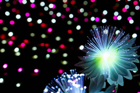 Closeup lighting flowers with light glowing up on colorful blurred and bokeh on night time backgroundの写真素材