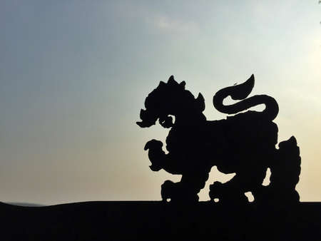 Shadow singhaの素材