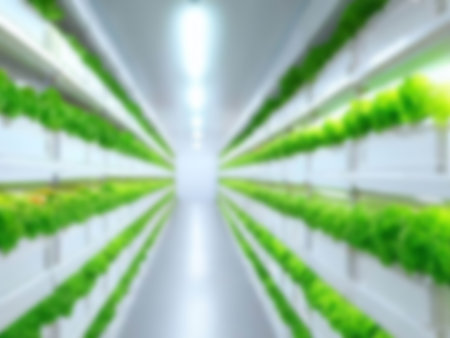 Blurred  Background Vertical Indoor lettuce  Farming . Technology for Agriculture. PFAL  LED Lighting and Control envoironment. Growth in container,の素材