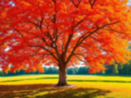 Blurred background of maple tree in green orange red colorful in public parkの素材