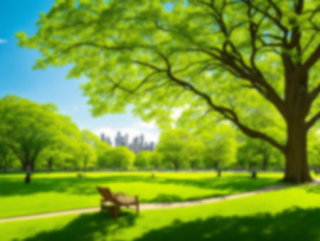 Blurred background of green nature public park, Blue sky and white cloud, Green grass field under sun lightの素材