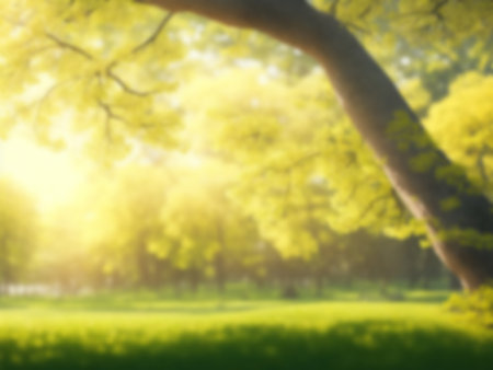 Blurred background of green nature public park, Blue sky and white cloud, Green grass field under sun lightの素材