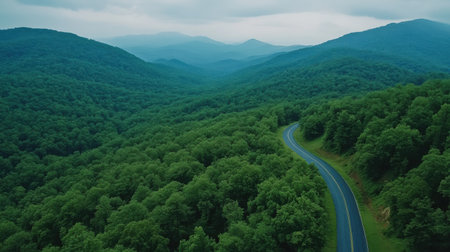 A breathtaking aerial view showcases a winding road meandering through lush green mountains and dense forests. This serene landscape invites exploration and adventure.の素材