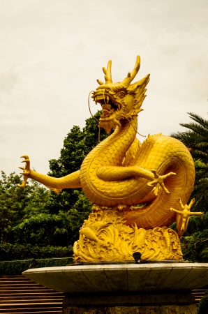 Gold Dragonの写真素材