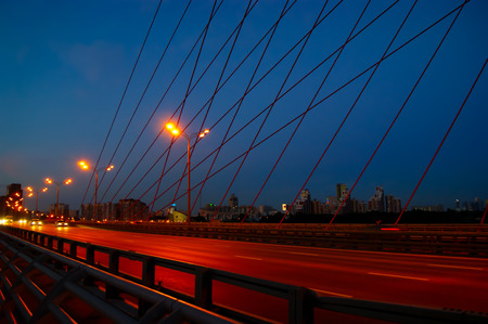 Scenic Bridge in Moscow