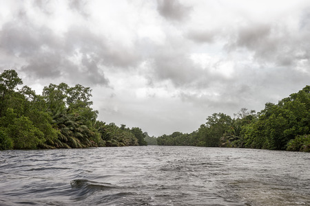 SRI LANKA. BENTOTA . Bentota River.の写真素材