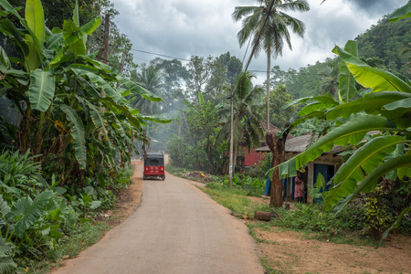 Sri Lanka. Bentota - August 15, 2015. The vicinity Of Bentota. The road in the small village among the Jungle. Tuk-tuk rides on the road.のeditorial素材