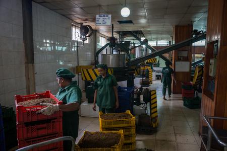 Sri Lanka. Kandy - August 16, 2015. Inside The Tea Plantation. Tea processing at the Factory.のeditorial素材