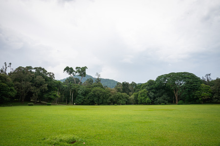 Sri Lanka. Kandy - August 16, 2015. The Royal Botanic Garden.のeditorial素材