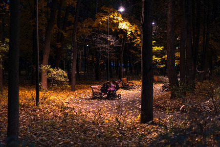 Russia. Moscow. Neskuchniy Garden. The evening in the park.の写真素材