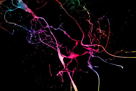 Colored paint splashes isolated on black background.の写真素材