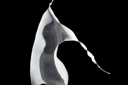 White paint splash isolated on black background.の写真素材