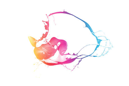 Colored paint splashes isolated on white backgroundの写真素材