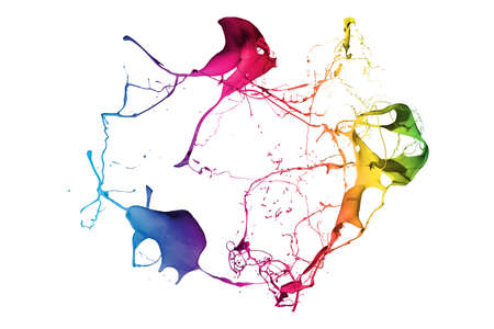 Colored paint splashes isolated on white backgroundの写真素材