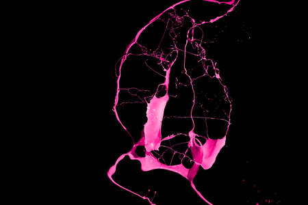 Pink paint splash isolated on black background.の写真素材