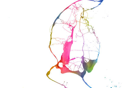 Colored paint splashes isolated on white backgroundの写真素材