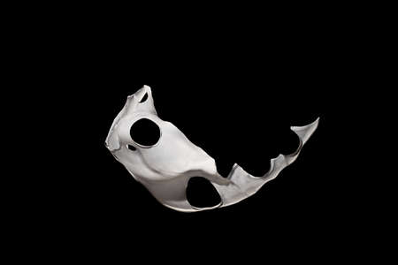 White paint splash isolated on black background.