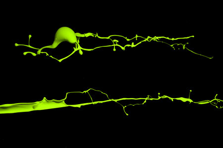 Green paint splash isolated on black  background.の写真素材