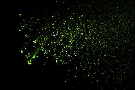 The movement of abstract dust explosion frozen green on black background. Stop the movement of...