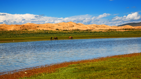 Desert, oasis and a riverの写真素材