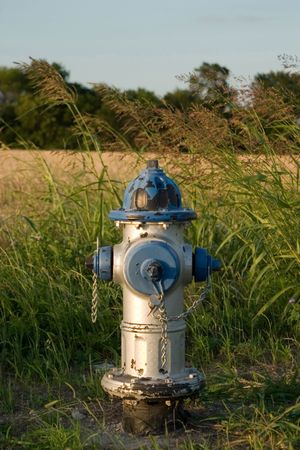 Lone blue and silver fire hydrant alone in a field of weeds.  Portrait orientation.の写真素材