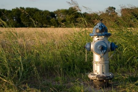 Lone blue and silver fire hydrant alone in a field of weeds. Landscape orientation.の写真素材