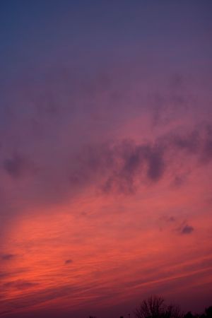Intense red clouds at sunset.の写真素材