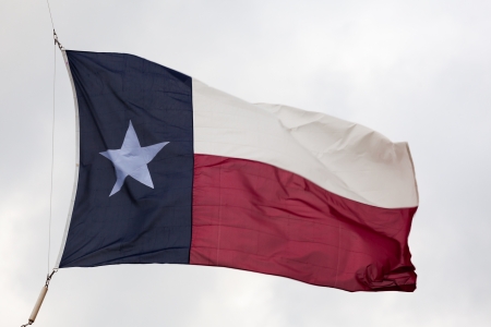 The flag of the State Of Texas, U S A  flowing in the wind 
