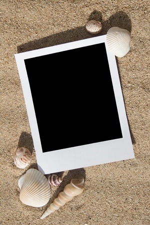 Polaroid photo frames on the beach with seashells aroundの写真素材