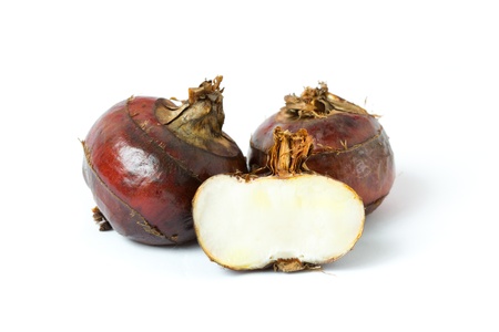 Isolated macro image of water chestnut with clipping path